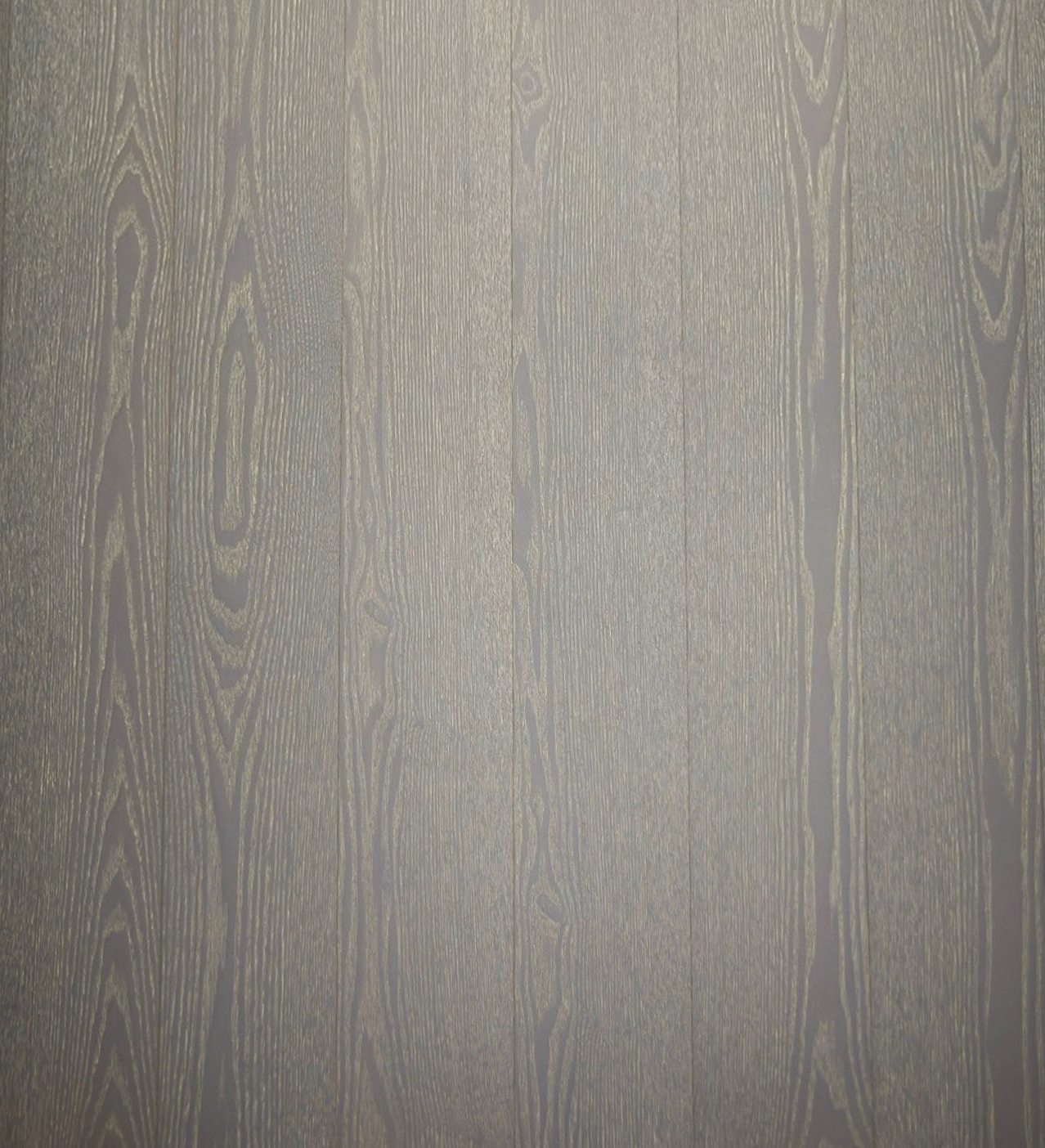 微信图片_20241210093052